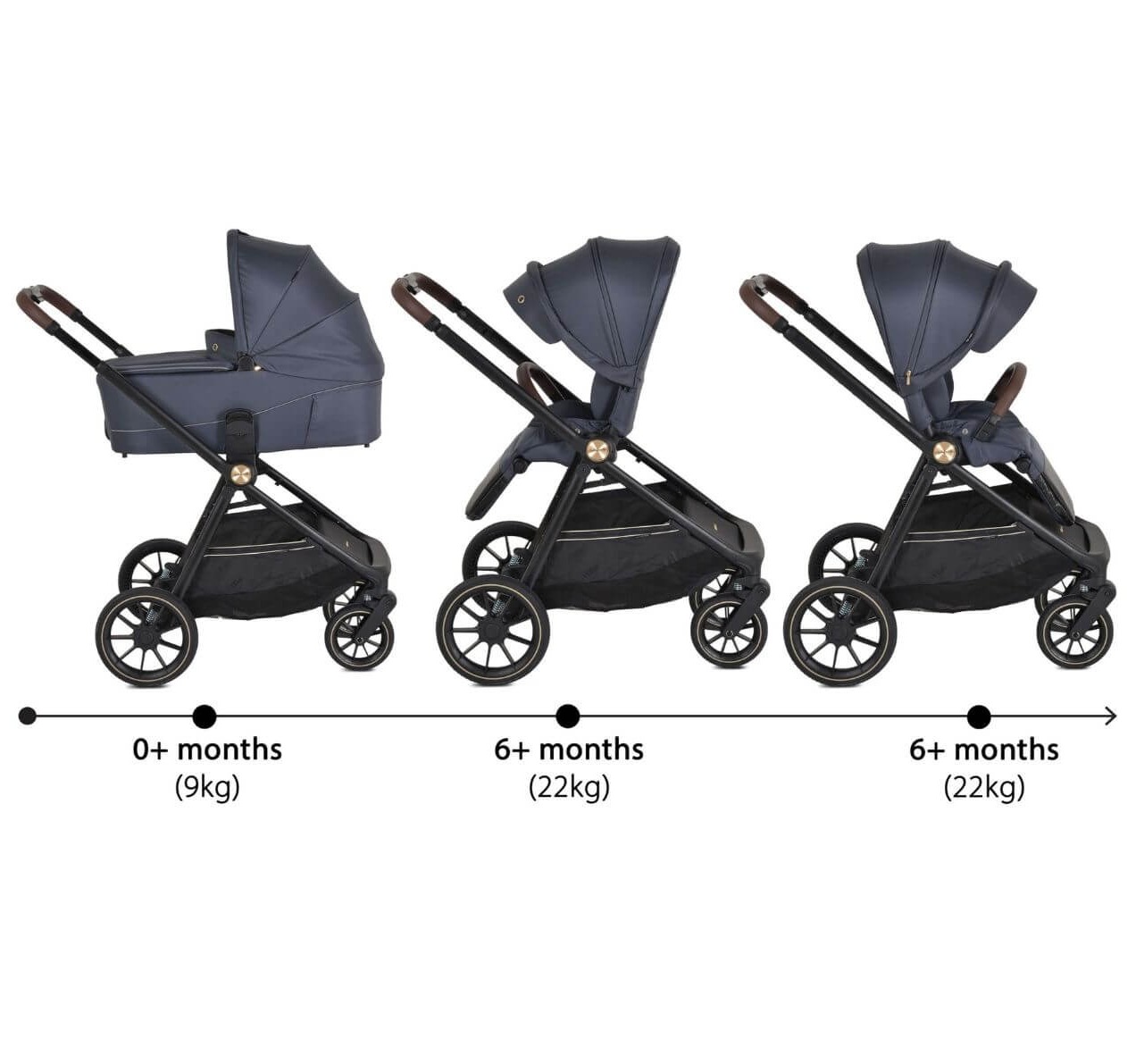 Cangaroo Celebrity 3u1 kolica za bebe