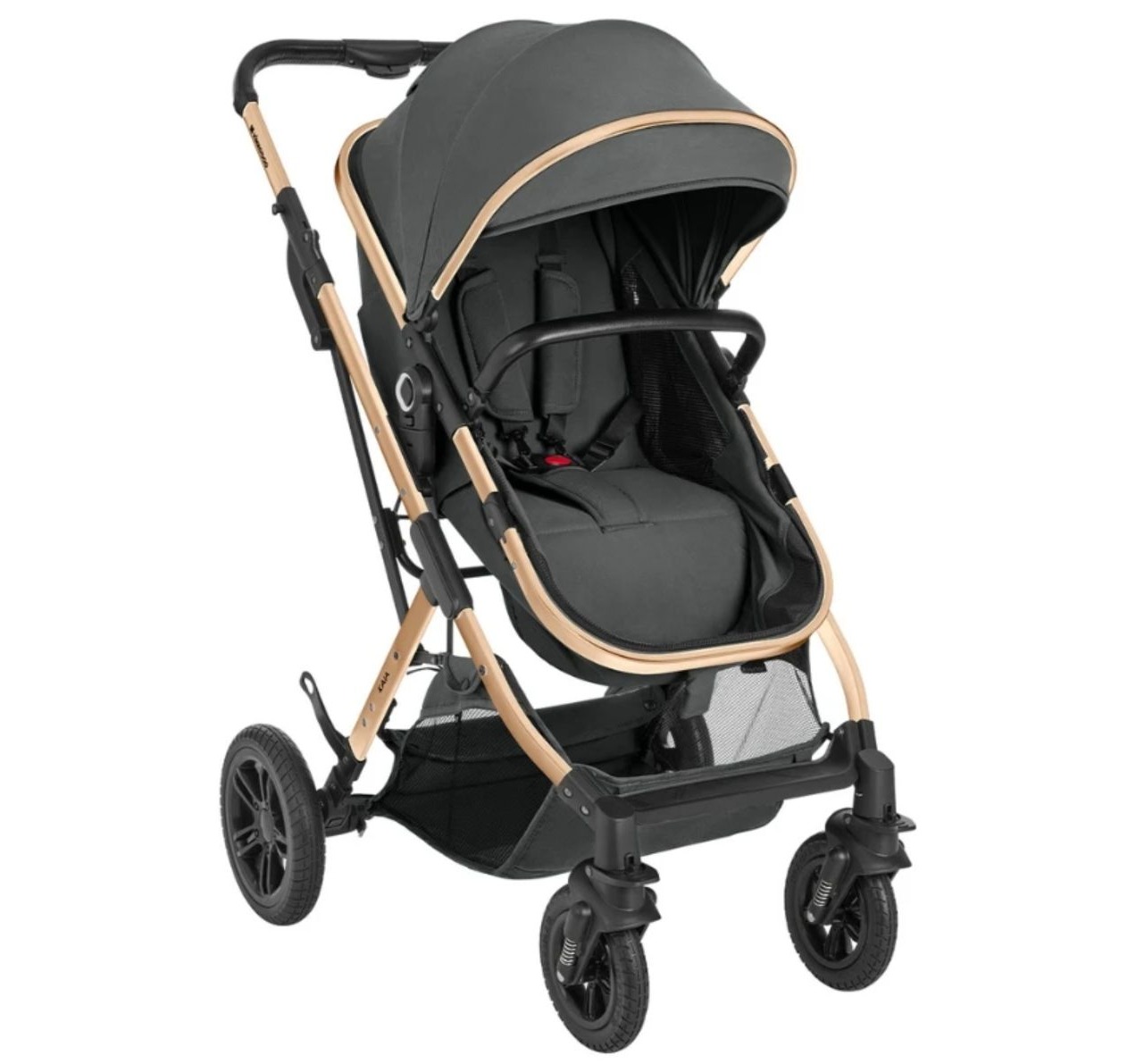 Kaia Premium kolica 2u1 sa reverzibilnom korpom-Happy kids